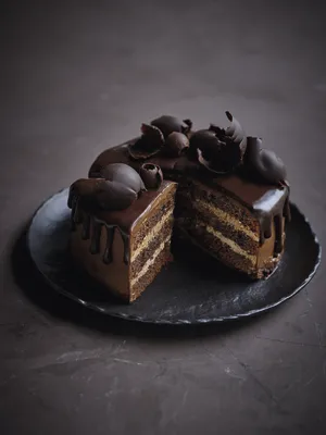 Carat Coverlux Extra Dark Compound Coating