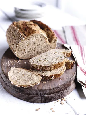 Softgrain 5 Grains and Seeds