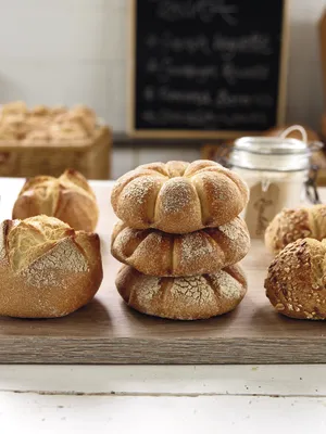 Sapore Rigoletto Sourdough